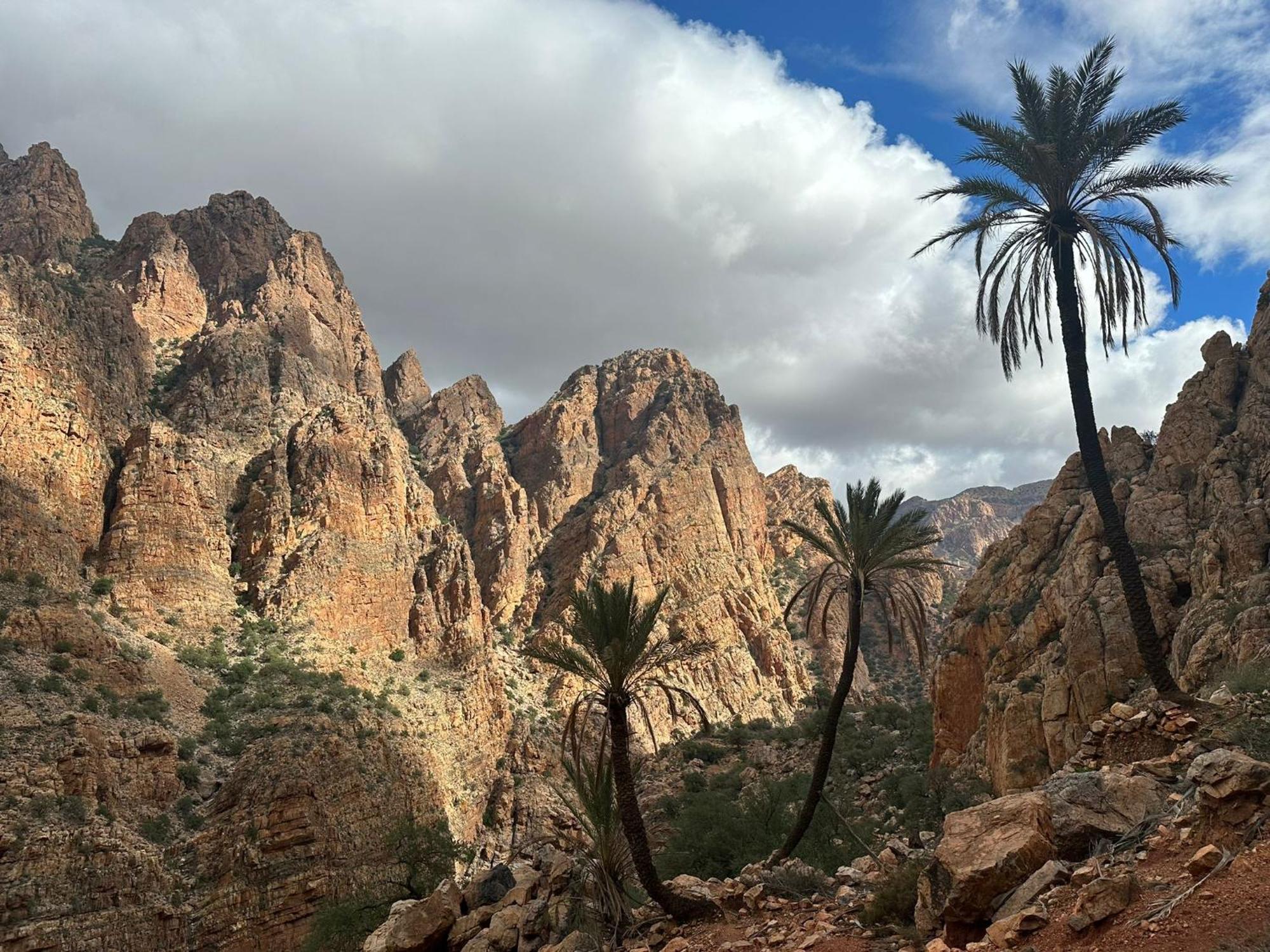 Dar Ajgal Bed & Breakfast Dourtane Bagian luar foto